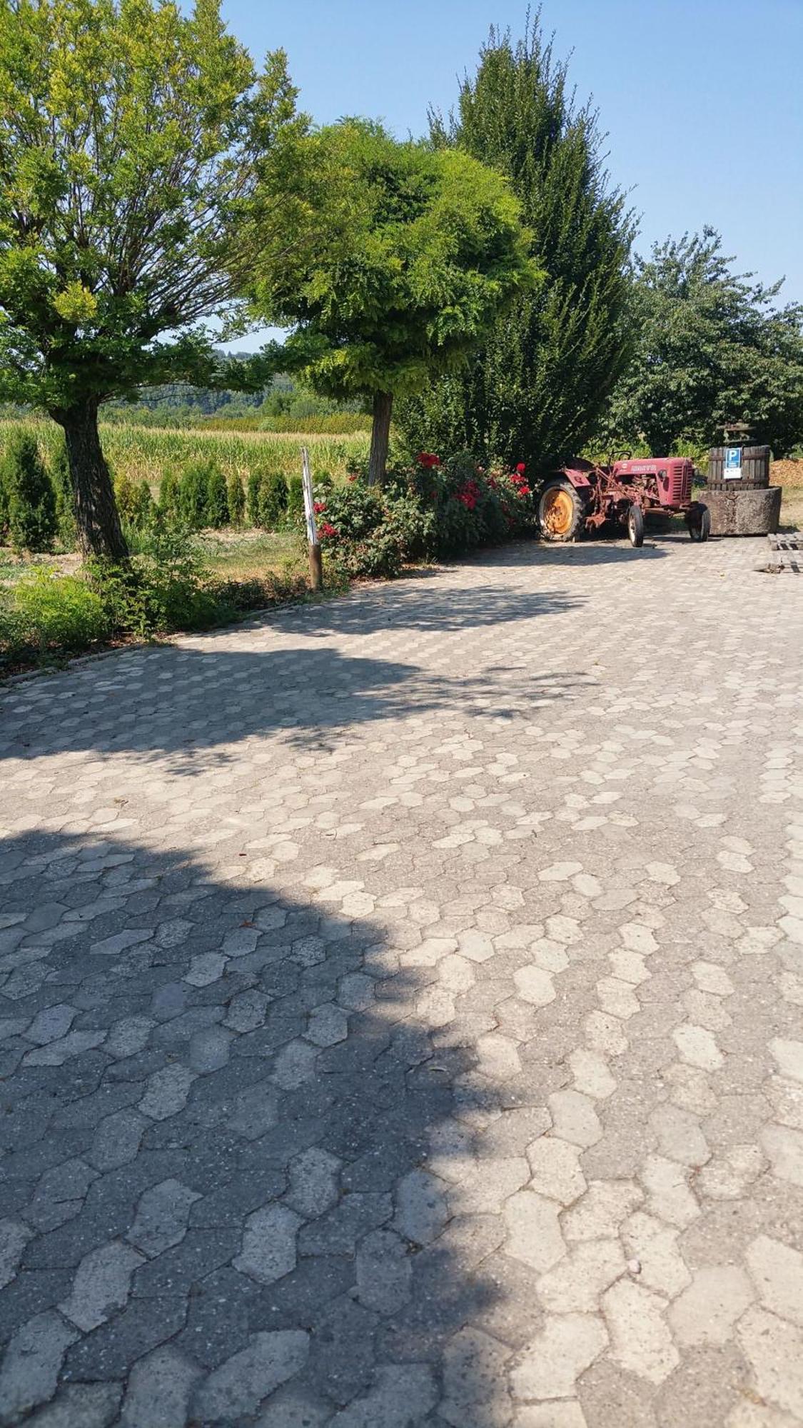 Ferienwohnung Rombachs Spatzennest Herbolzheim Bagian luar foto