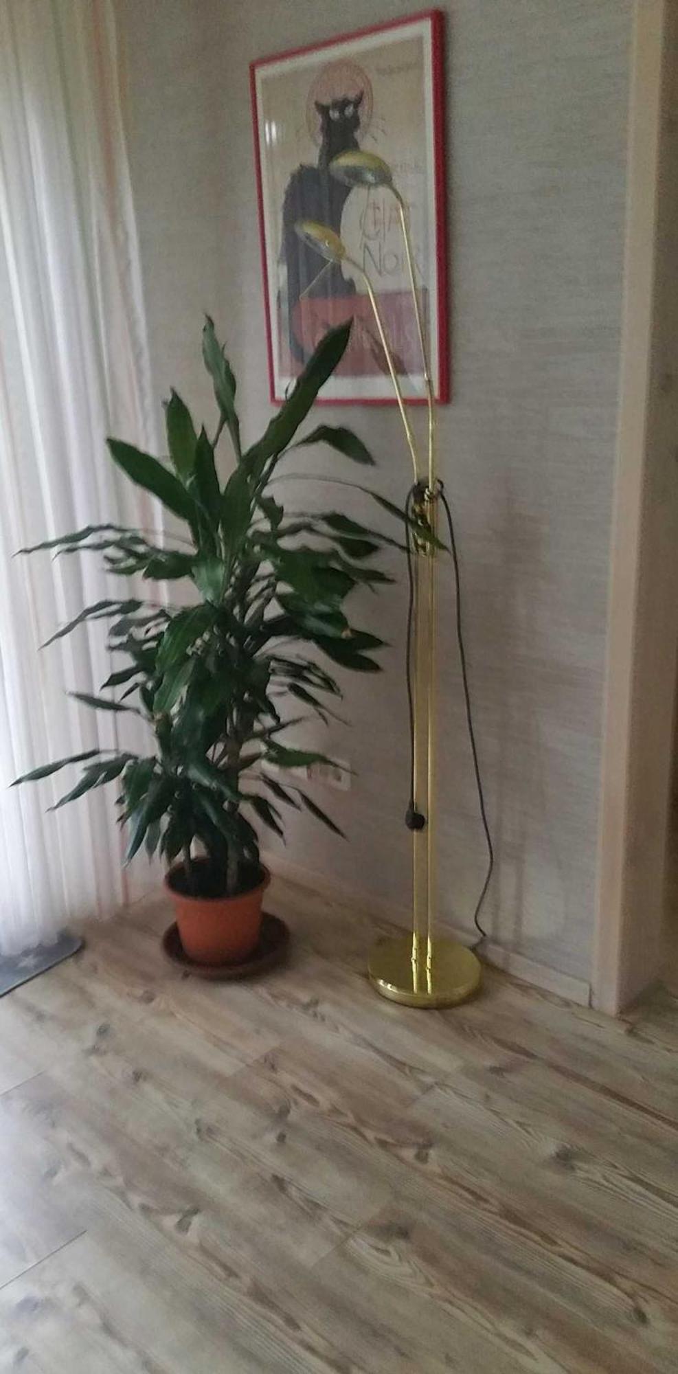 Ferienwohnung Rombachs Spatzennest Herbolzheim Bagian luar foto